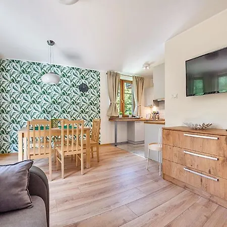 Appartement Everysky Nadrzeczna 3e-3d Karpacz